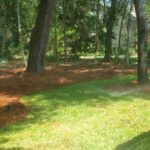 Scenicscape Landscapers - Leaf Clean-Up -01