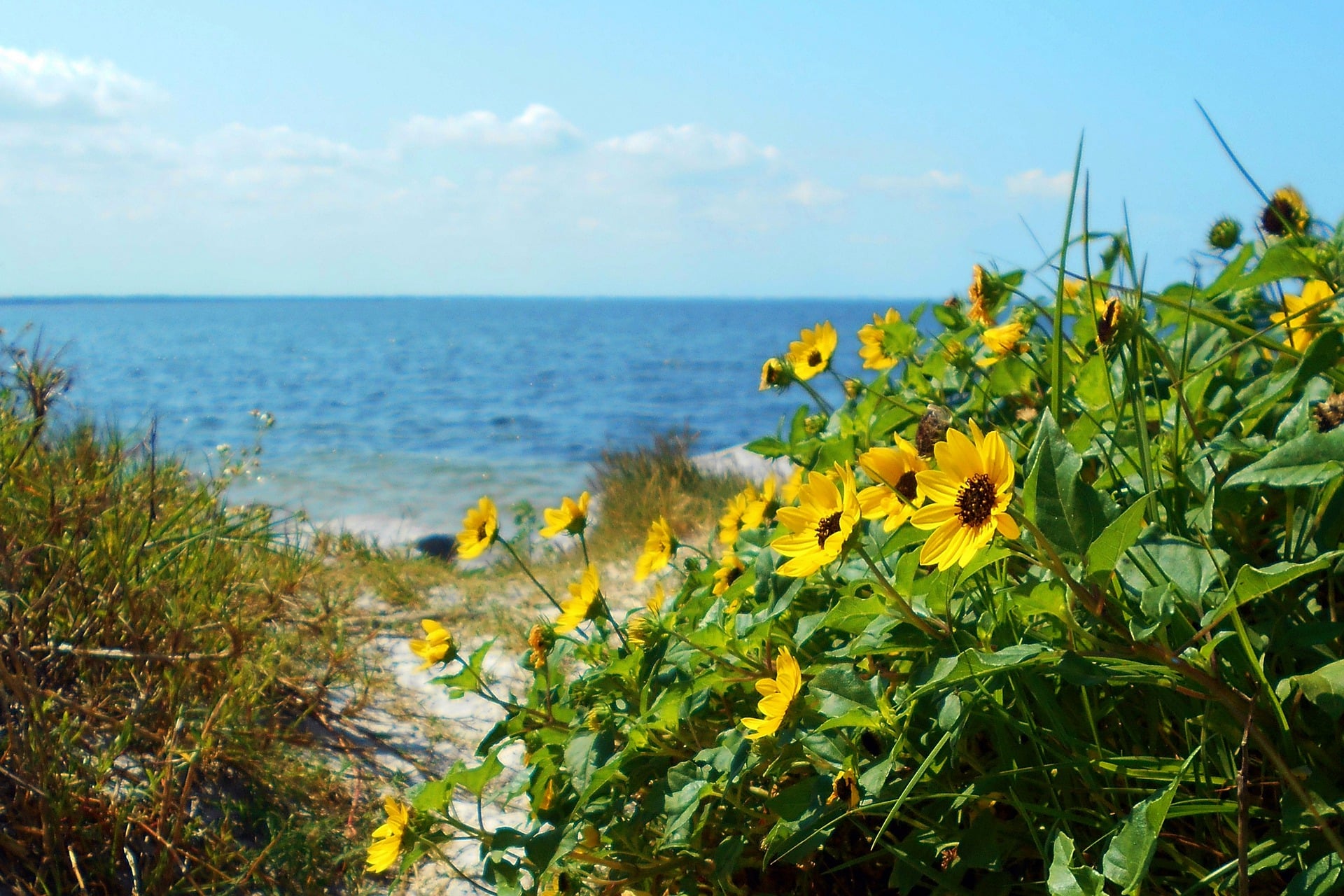 Florida Seasonal Planting