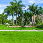 Revitalize Your Landscape 01