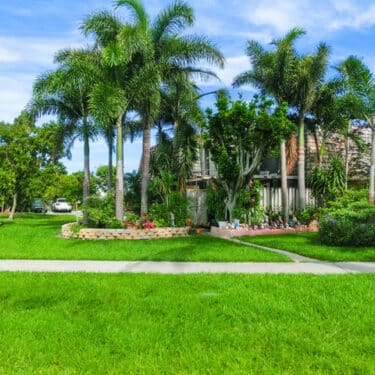 Revitalize Your Landscape 01