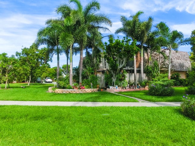 Revitalize Your Landscape 01